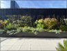 Wohnbebauung in Moosham, mit sps÷architekten zt gmbh